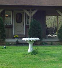 birdbath01.jpg
