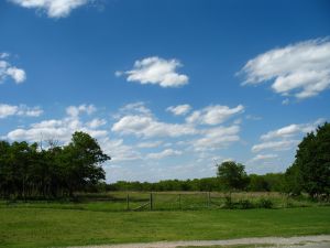 ideal-country-for-fruit-groves.jpg