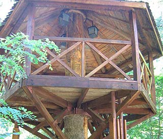 House Design on Gardening Site    Things To Consider Before You Build A Tree House