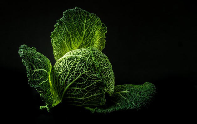 home vegetables cabbage