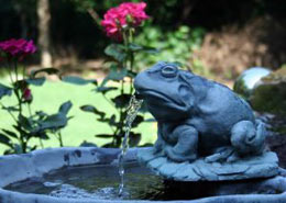 garden-frog-solar-water-fountain.jpg