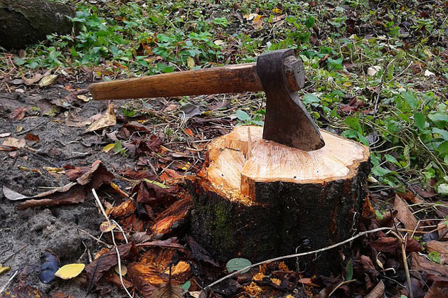 tree stump with axe