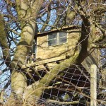 Tips to consider before you build a treehouse