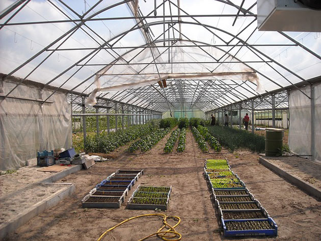 greenhouse planning