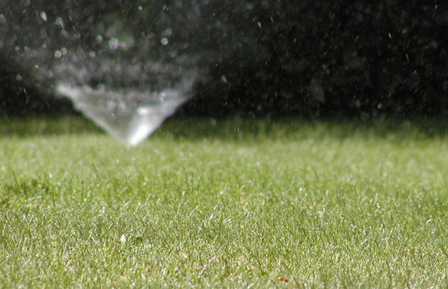 lawn sprinkler pumping water