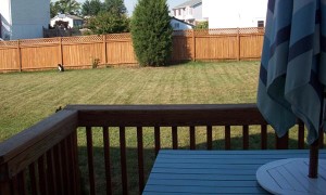 Some backyard landscaping ideas