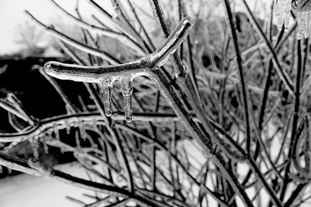 Simple frost protection measures