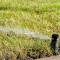 Maintaining a pop up lawn sprinkler system