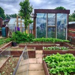 Maintaining your greenhouse
