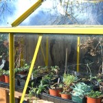 Greenhouse Planning Tips
