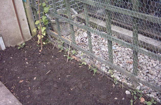 Crop Rotation Improves Soil Structure Naturally