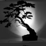 The Slanting Style in Bonsai