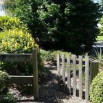 Protecting Your Fruit Crop from Pests