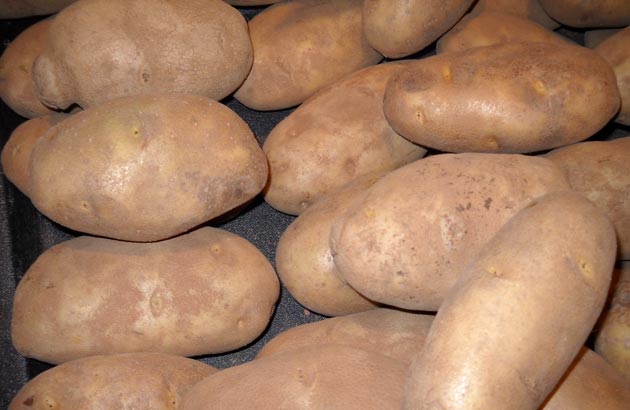 How to Grow Healthy Organic Potatoes