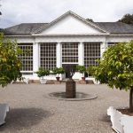 Growing Fruit Trees in Containers