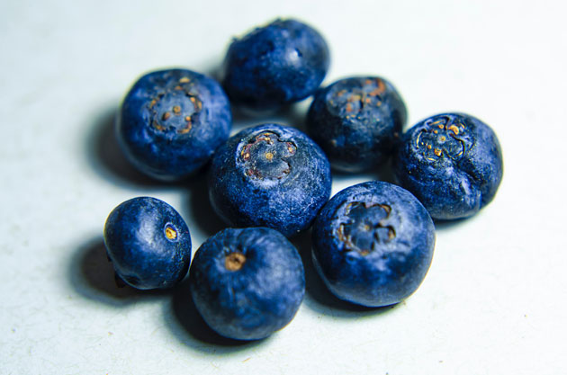 Growing Blueberries in Your Home Garden