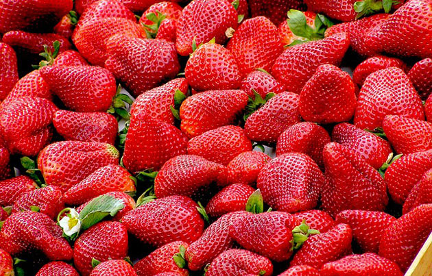How to Grow Strawberries in Your Home Garden