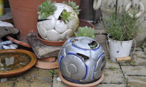 Upcycling Stuff from Your Home for the Garden