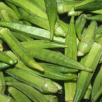 Growing Okra at Home