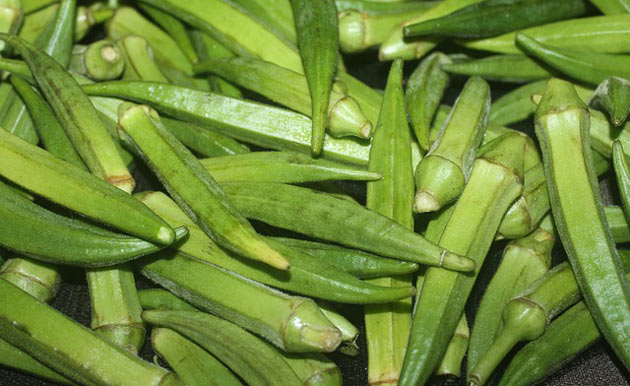 Growing Okra at Home