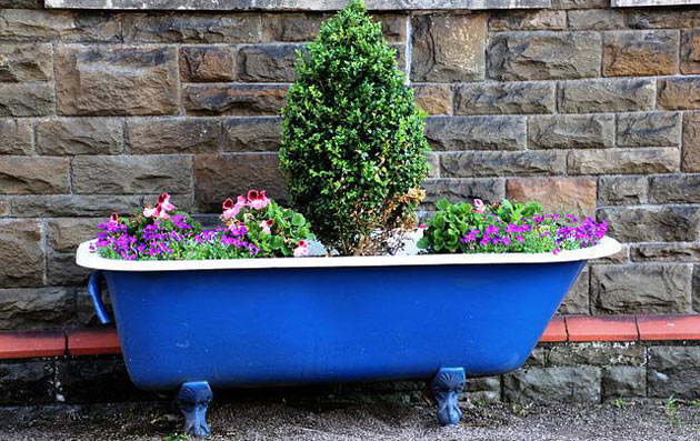 container gardening using old bathub