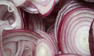 The Best Way to Grow Onions Easily