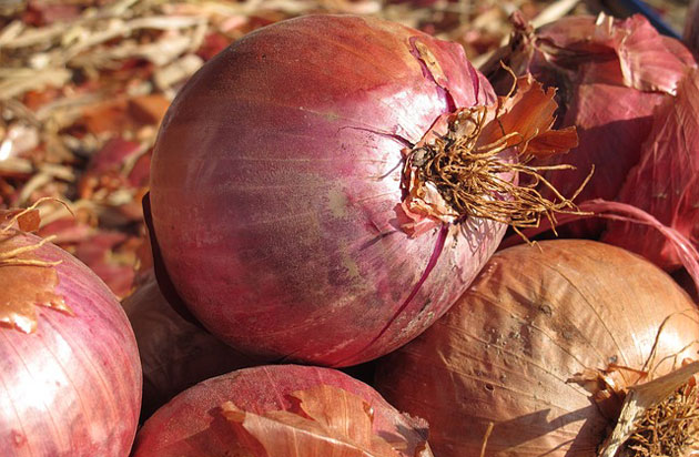 red onions