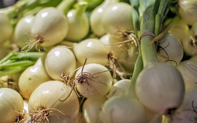 young onions