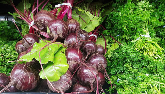 harvested beets
