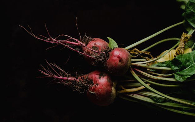 How to Grow Beets at Home Easily