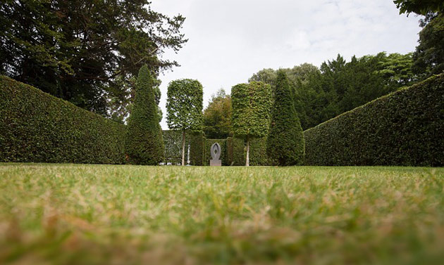 hedge garden walls