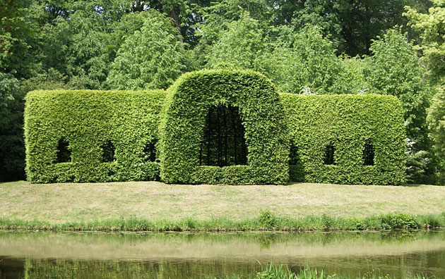 hedge in special design