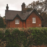 How to Grow a Hedge FAST