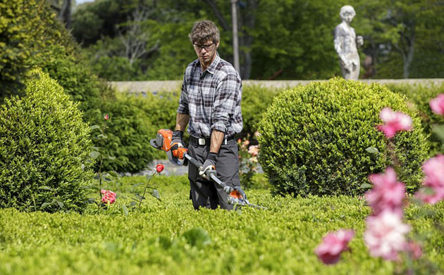 trimming a hedge