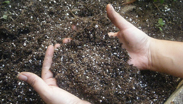 potting mix