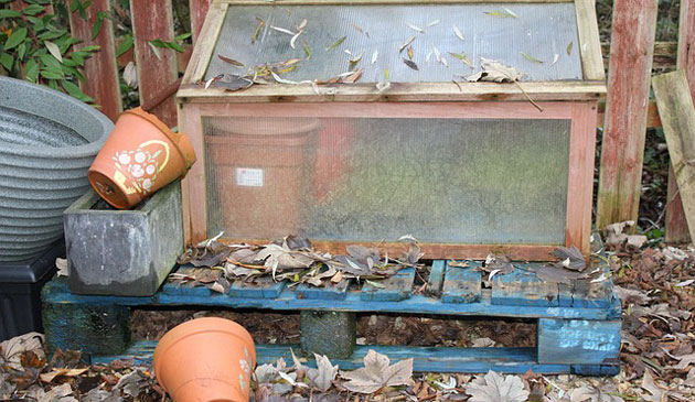 cold frame