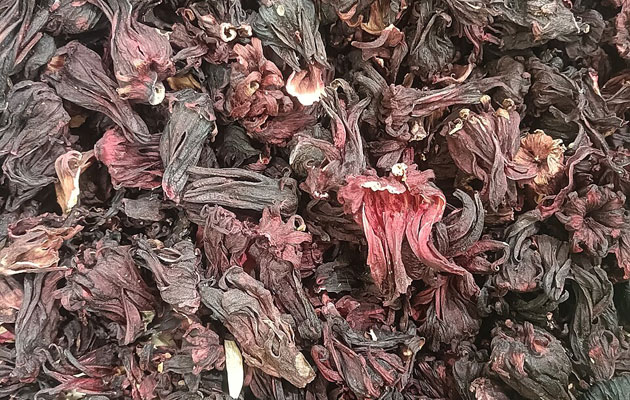harvested roselle calyces