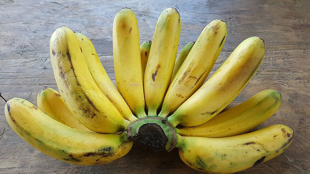 lakatan banana