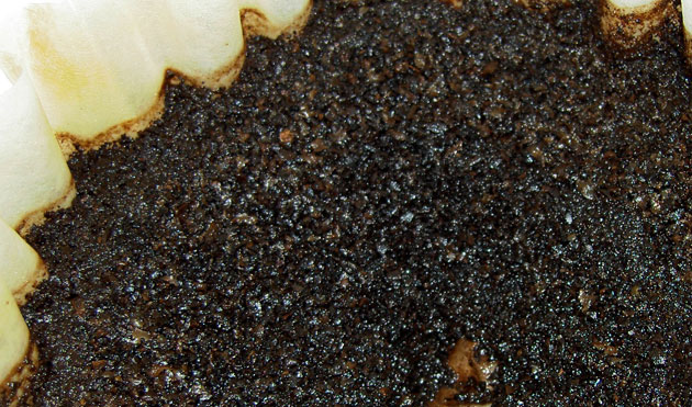 coffee grounds