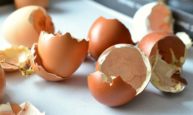 eggshells