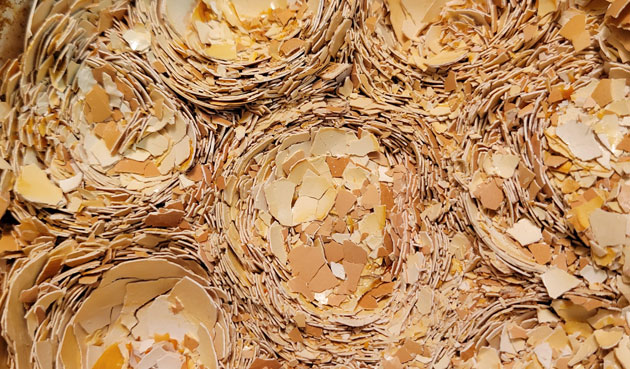 crushed eggshells