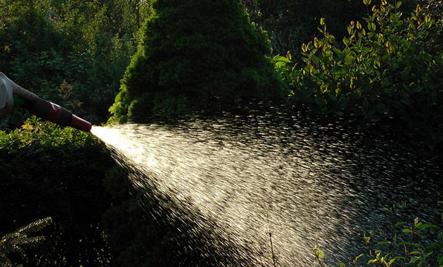 garden hose tap watering