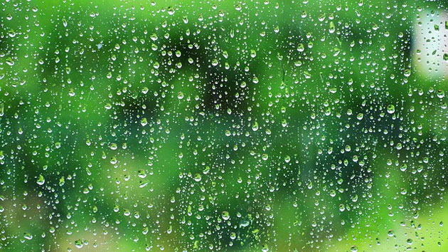 rainwater
